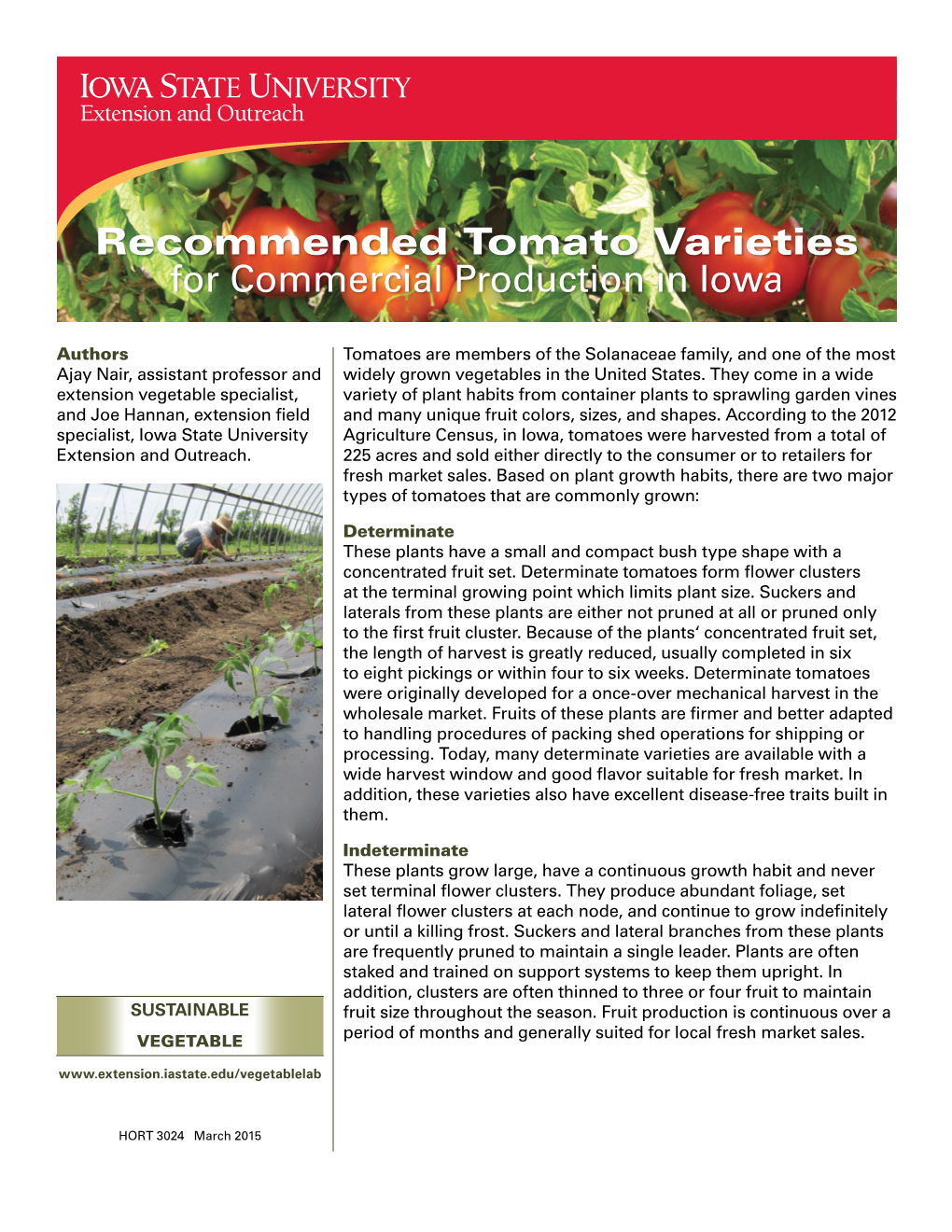 Recommended Tomato Varieties for Commercial Production in Iowa