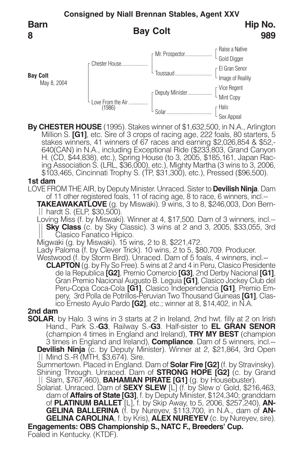 Bay Colt Barn 8 Hip No