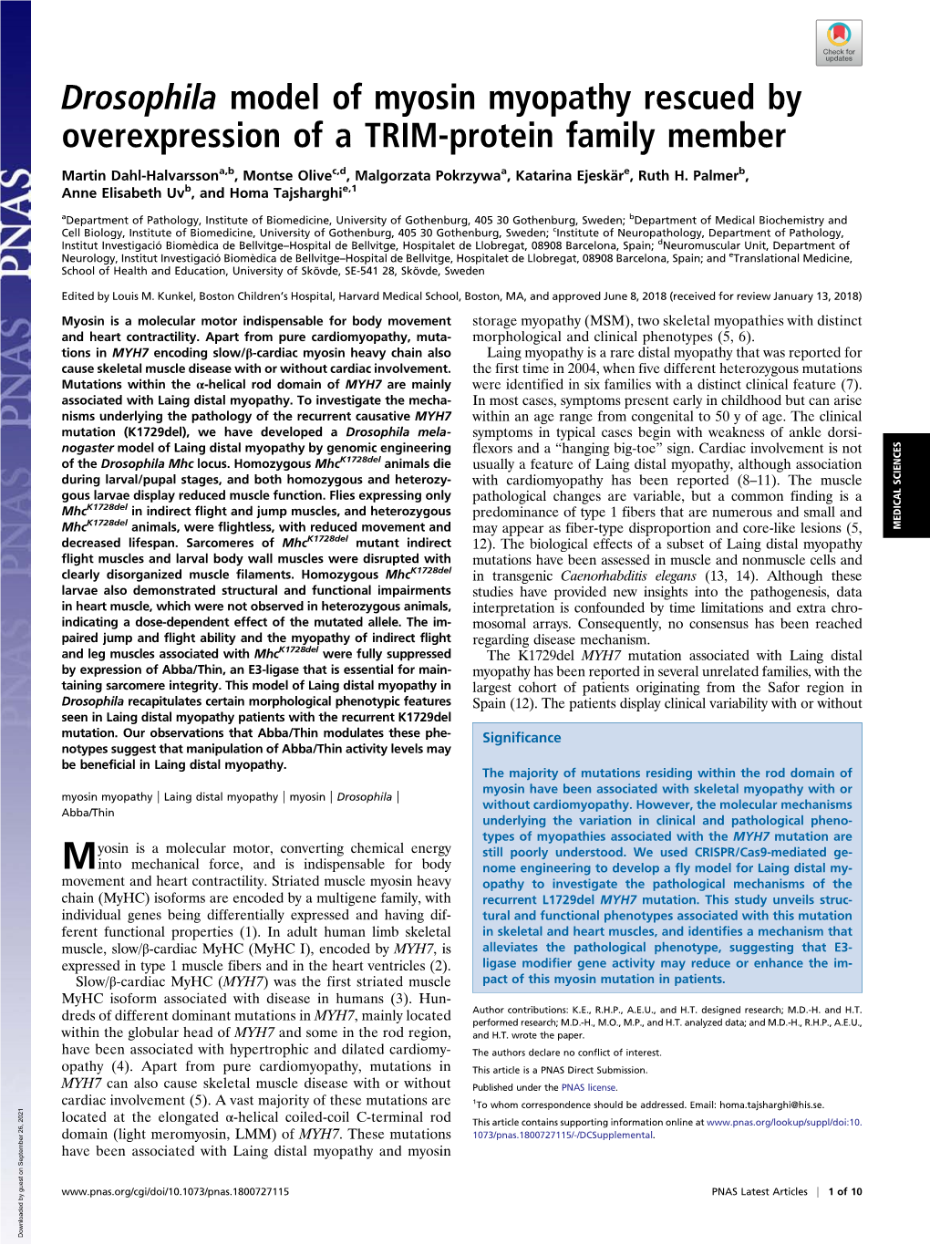 Drosophila Model of Myosin Myopathy Rescued by Overexpression of a TRIM-Protein Family Member