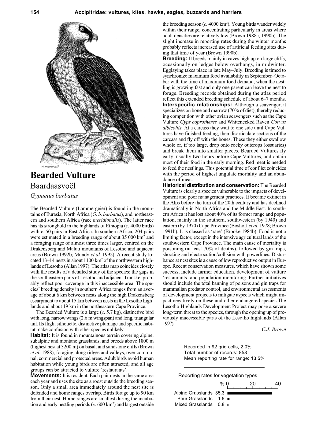 Bearded Vultures Fly Early, Usually Two Hours Before Cape Vultures, and Obtain Most of Their Food in the Early Morning