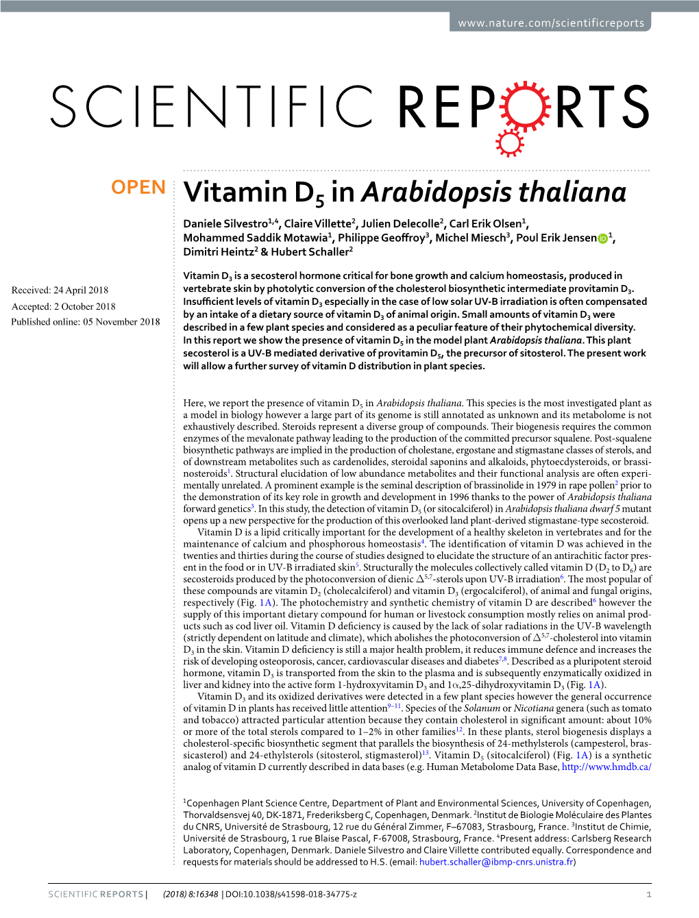 Vitamin D5 in Arabidopsis Thaliana