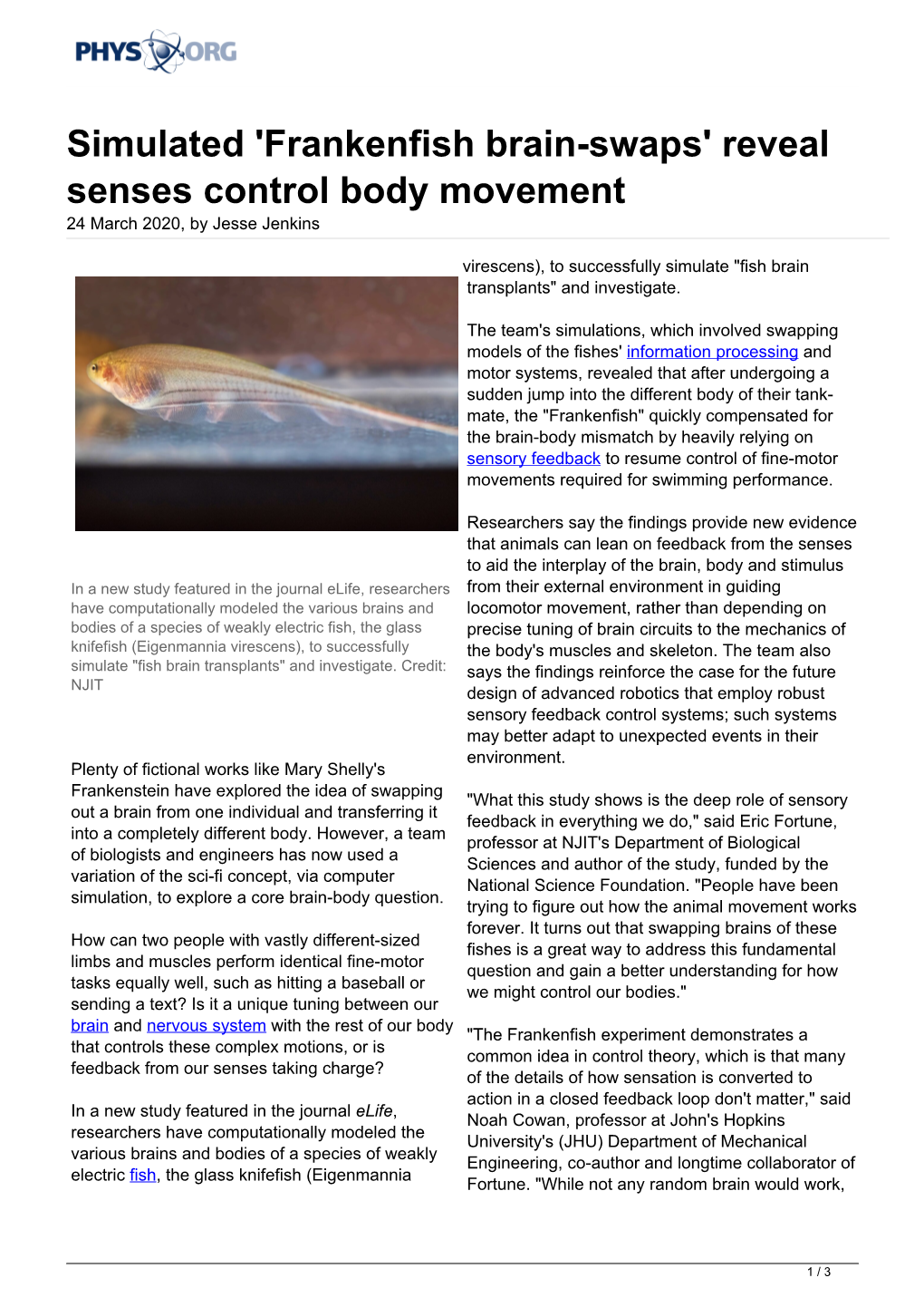 Simulated 'Frankenfish Brain-Swaps' Reveal Senses Control Body Movement 24 March 2020, by Jesse Jenkins