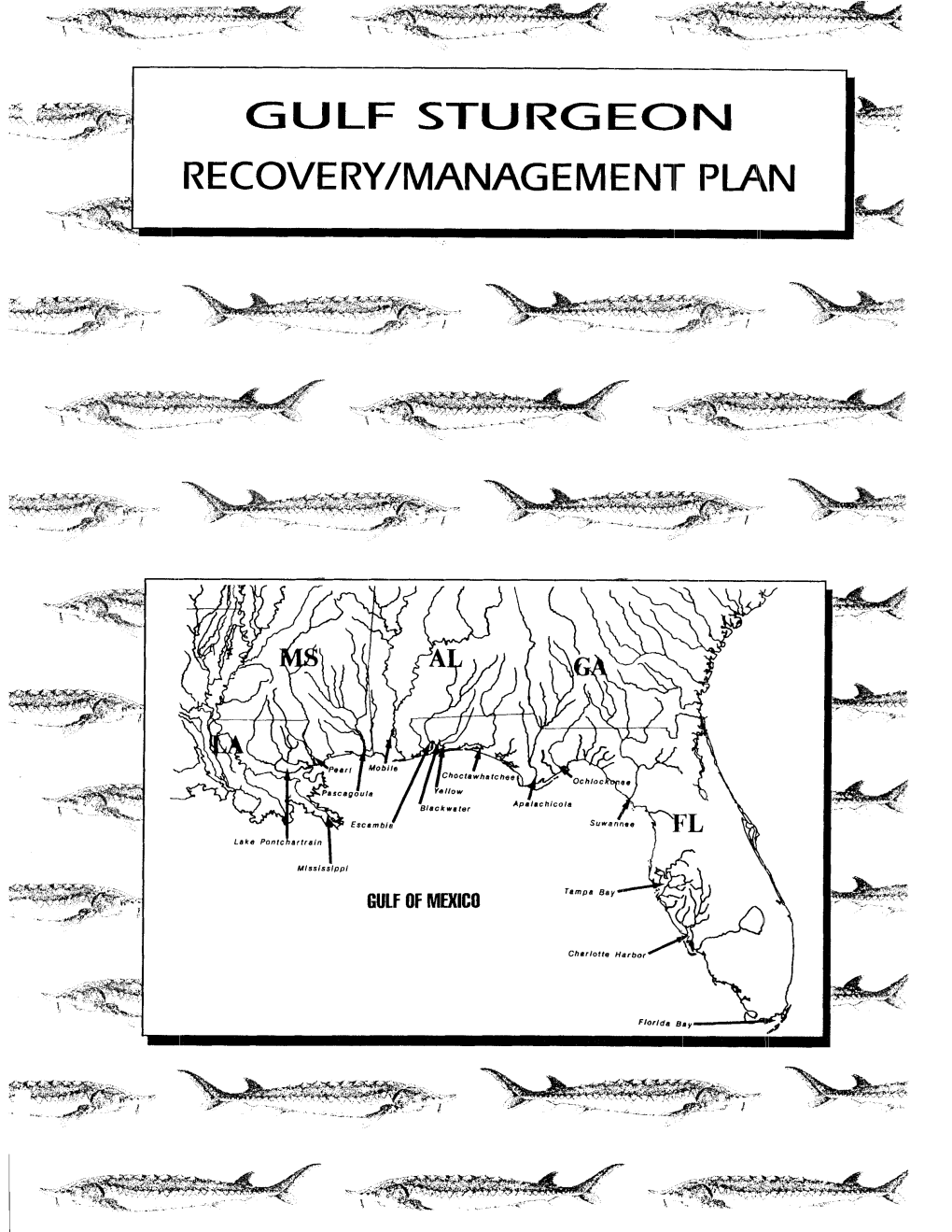 Gulf Sturgeon Recoveryimanagement Plan