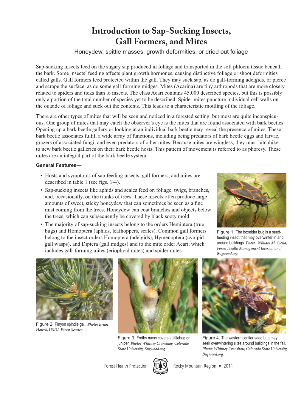 Introduction to Sap-Sucking Insects, Gall Formers, and Mites Honeydew, Spittle Masses, Growth Deformities, Or Dried out Foliage