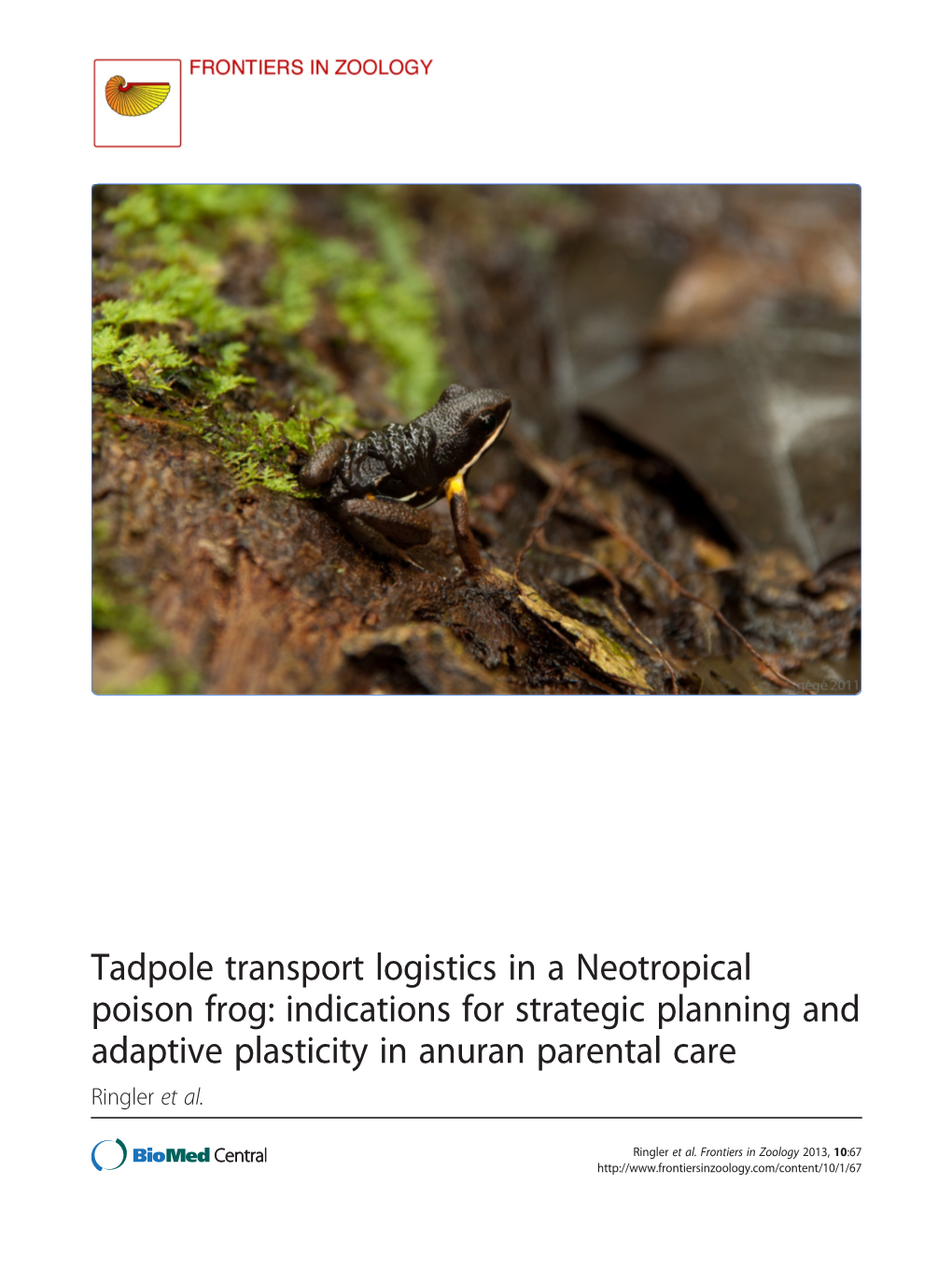 Tadpole Transport Logistics in a Neotropical Poison Frog: Indications for Strategic Planning and Adaptive Plasticity in Anuran Parental Care Ringler Et Al