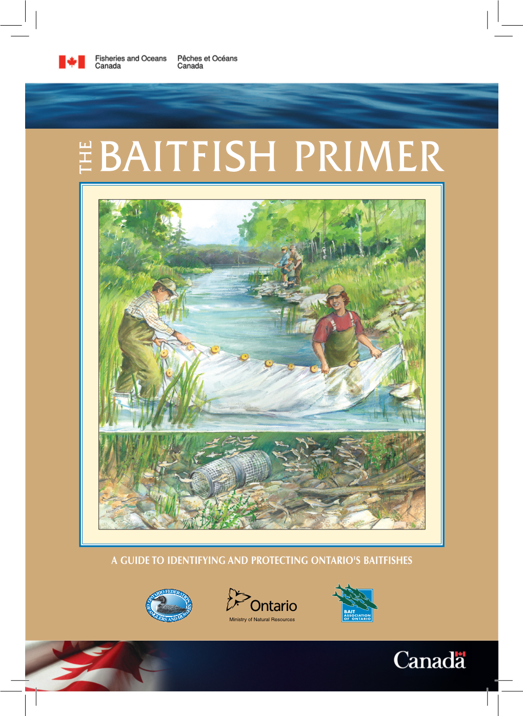 Baitfish Primer