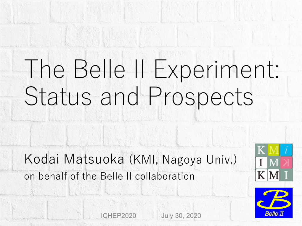 The Belle II Experiment: Status and Prospects