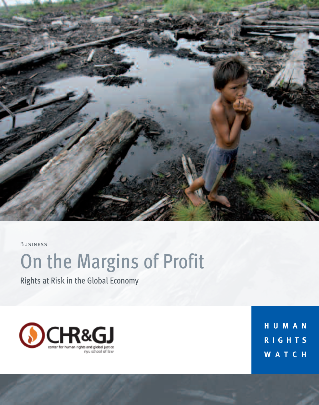 On the Margins of Profit Rights at Risk in the Global Economy