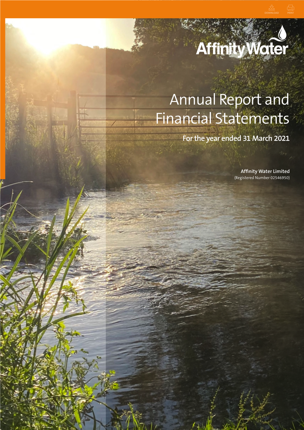 Annual Report and Financial Statements for the Year Ended 31 March 2021