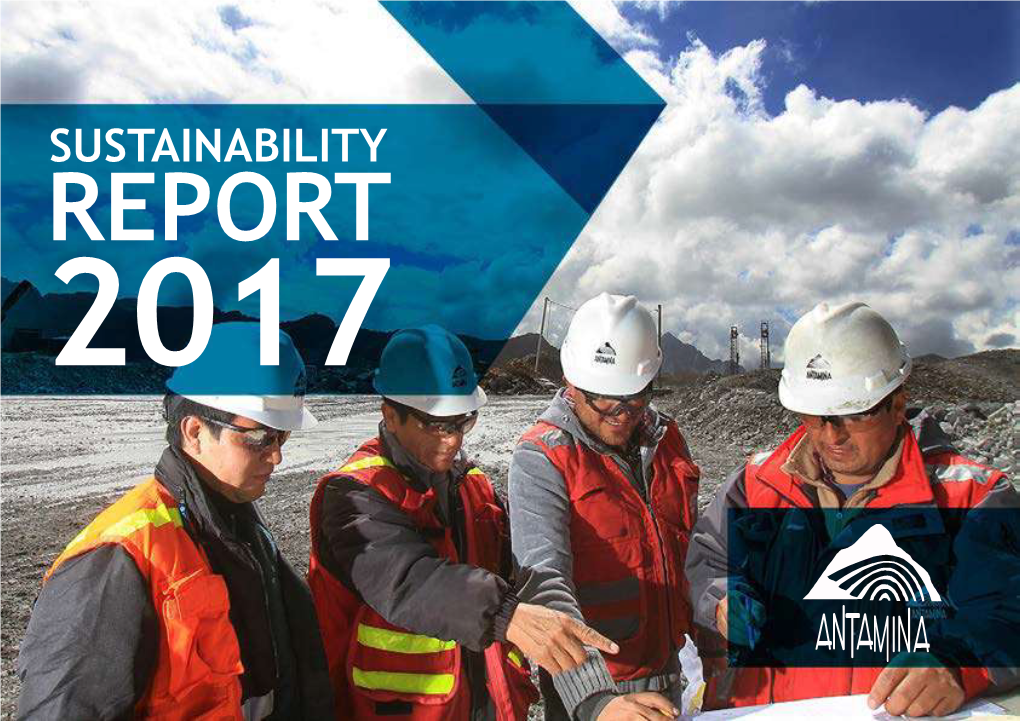 Download Sustainability Report 2017