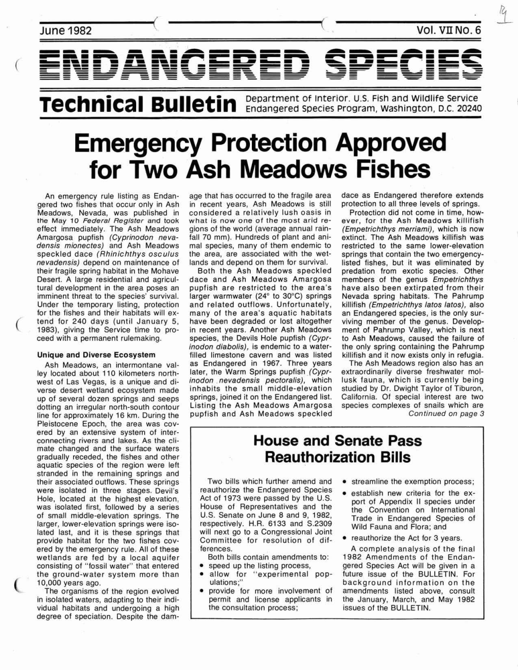 Emergency Protection Approved for Two Ash Meadows Fishes