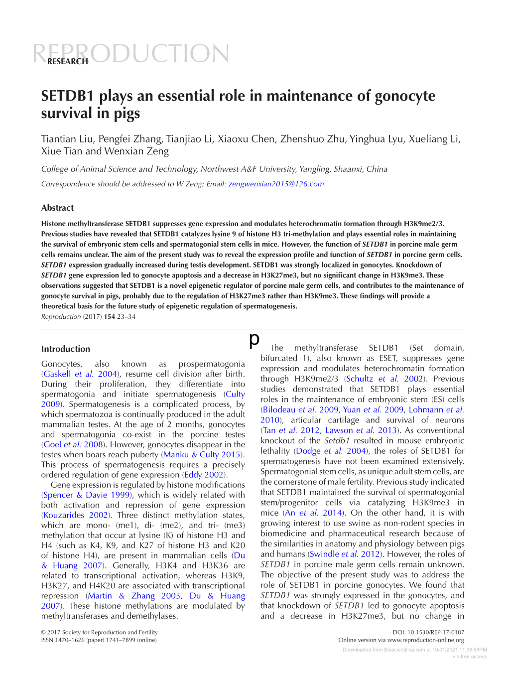 SETDB1 Plays an Essential Role in Maintenance of Gonocyte Survival in Pigs