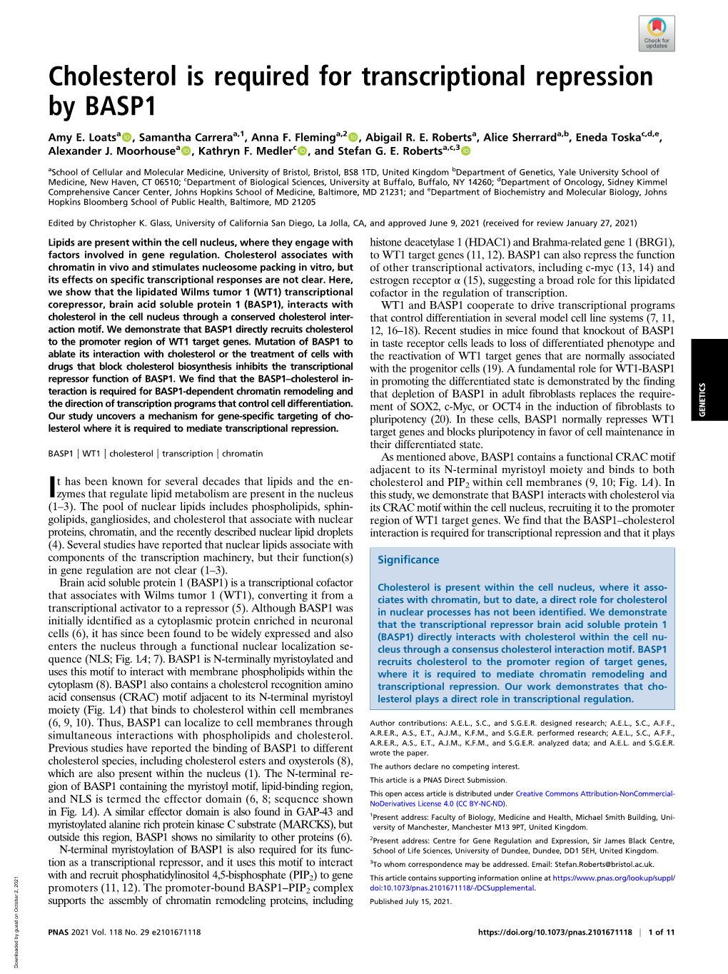 Cholesterol Is Required for Transcriptional Repression by BASP1