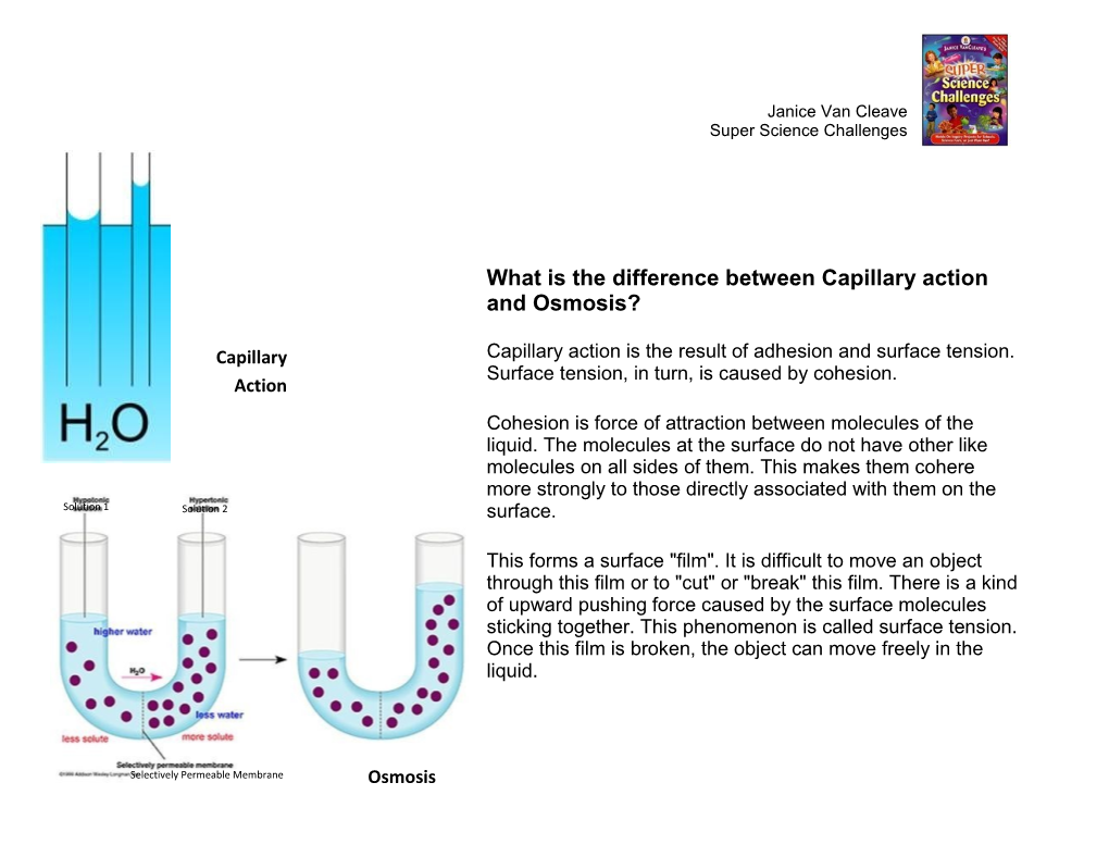 What Is the Difference Between Capillary Action and Osmosis?