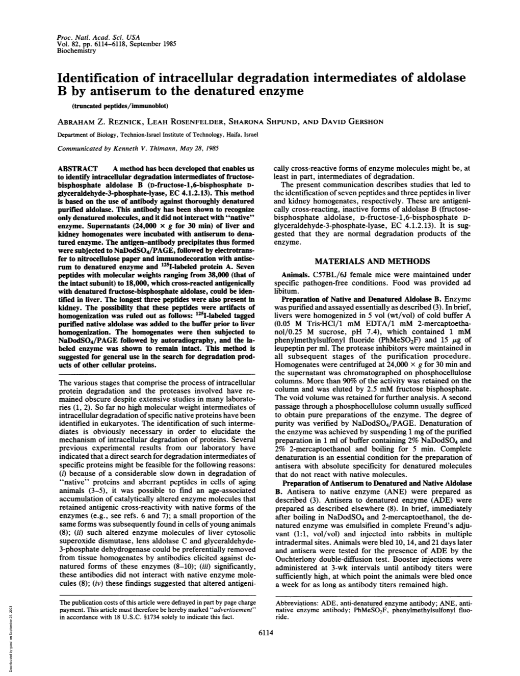 Identification of Intracellular Degradation Intermediates of Aldolase B by Antiserum to the Denatured Enzyme (Truncated Peptides/Immunoblot) ABRAHAM Z