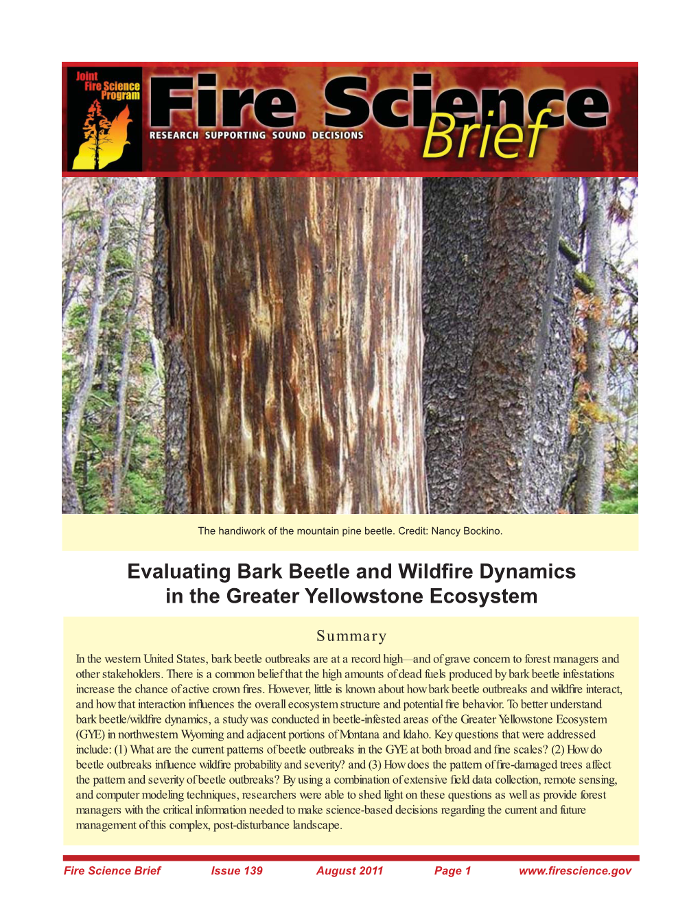 Evaluating Bark Beetle and Wildfire Dynamics in the Greater