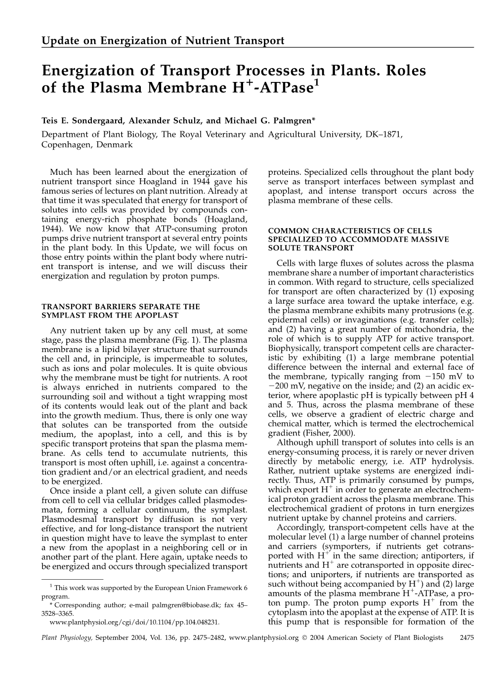 Energization of Transport Processes in Plants. Roles of the Plasma Membrane H -Atpase