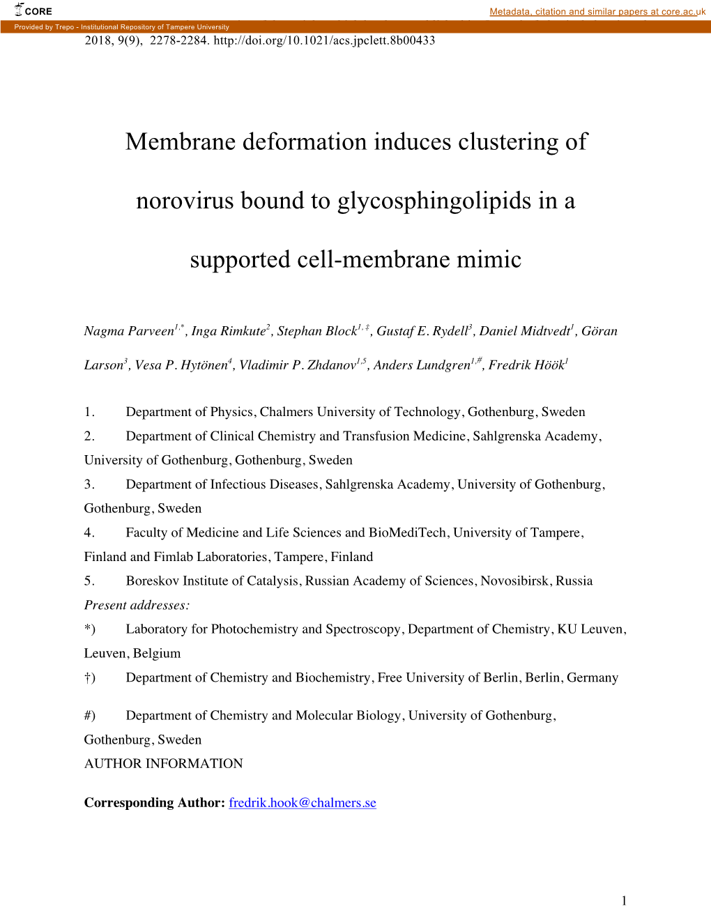 Membrane Deformation Induces Clustering of Norovirus Bound To