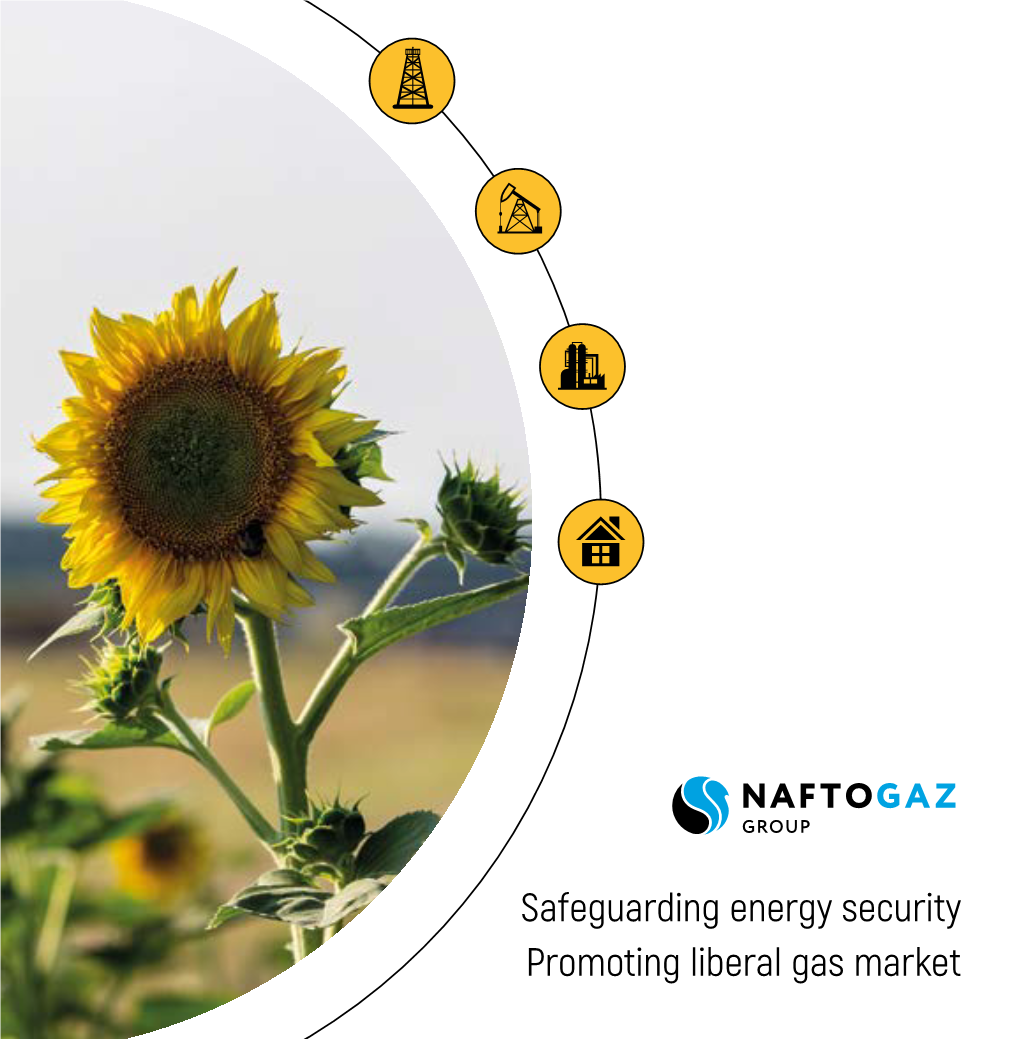 Safeguarding Energy Security Promoting Liberal Gas Market