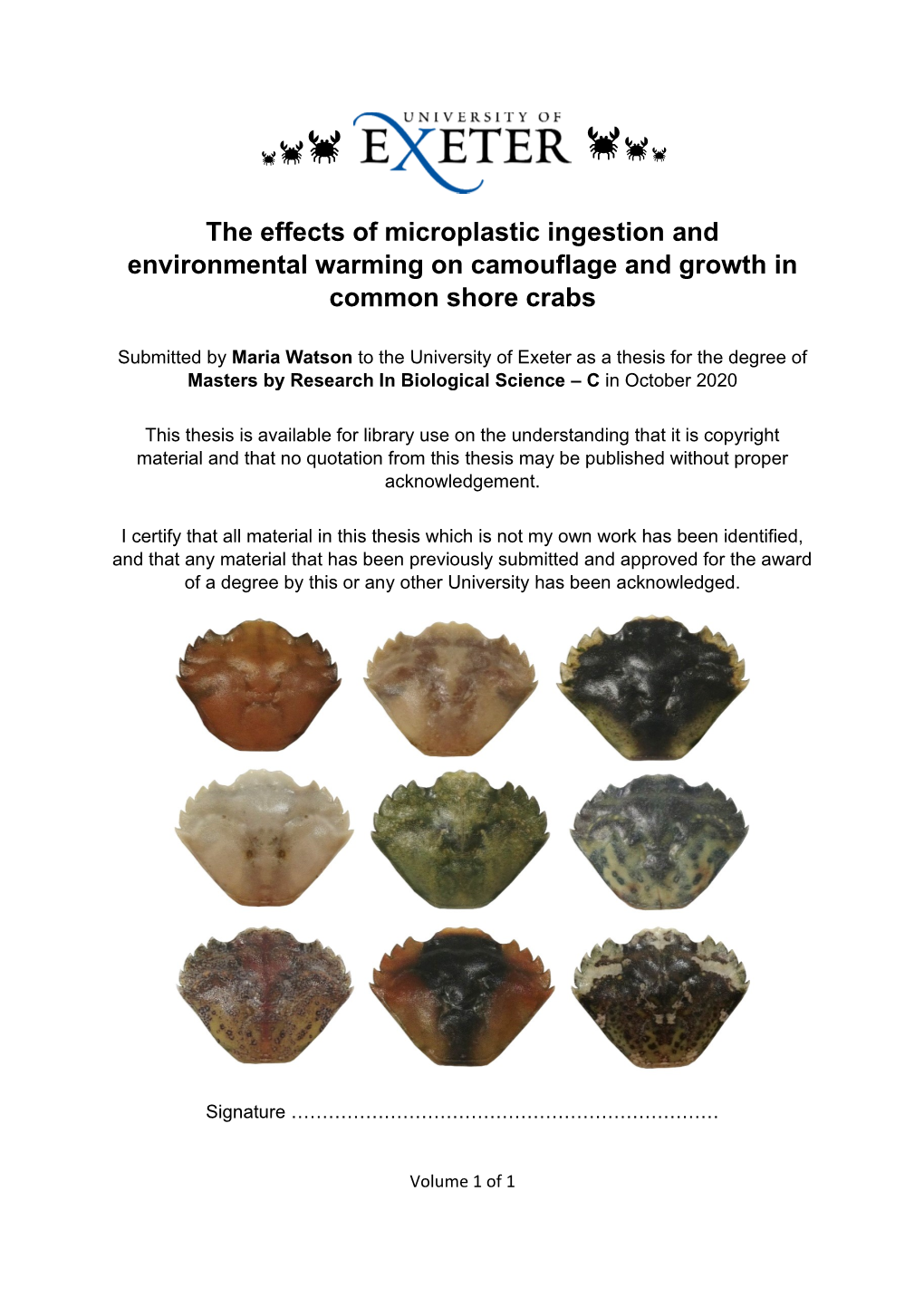 The Effects of Microplastic Ingestion and Environmental Warming on Camouflage and Growth in Common Shore Crabs