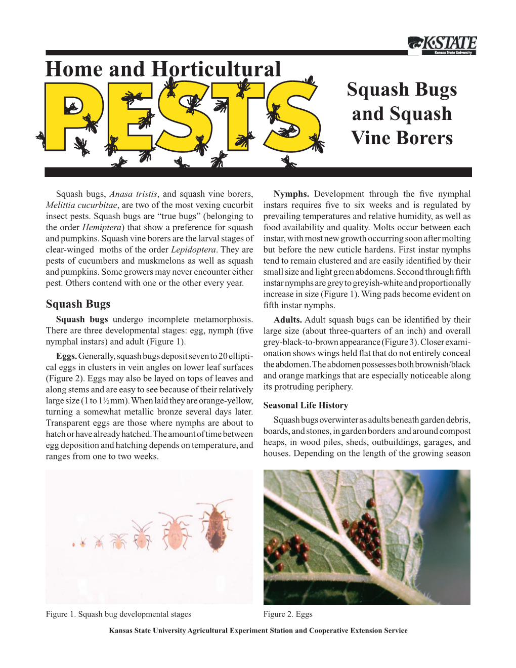 MF2508 Squash Bugs and Squash Vine Borers