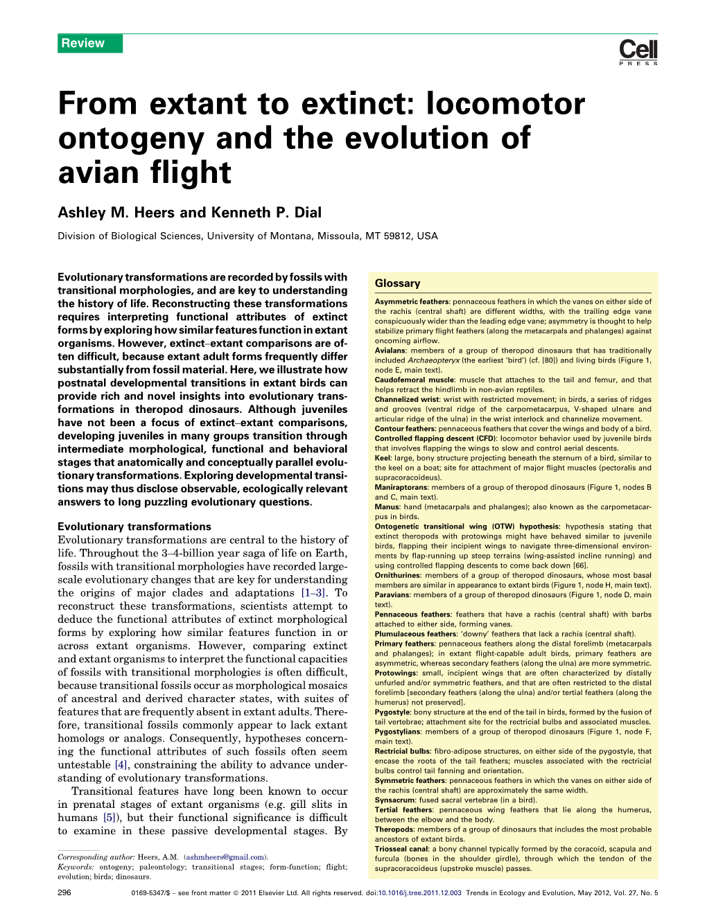 Locomotor Ontogeny and the Evolution of Avian Flight