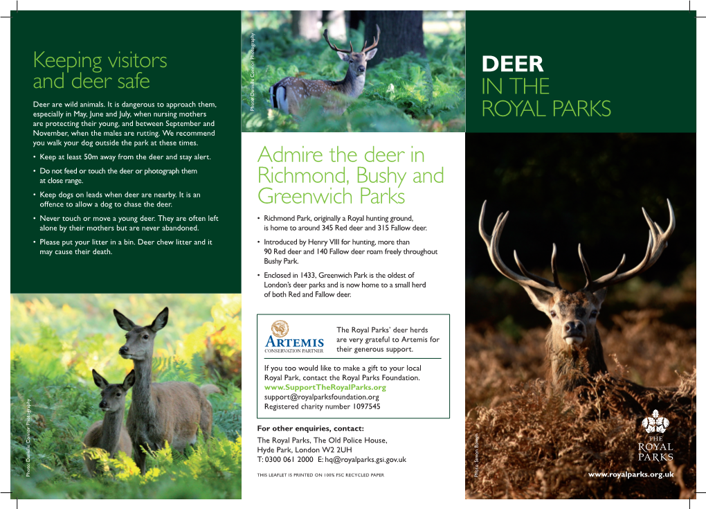 Keeping Visitors and Deer Safe Admire the Deer in Richmond, Bushy And