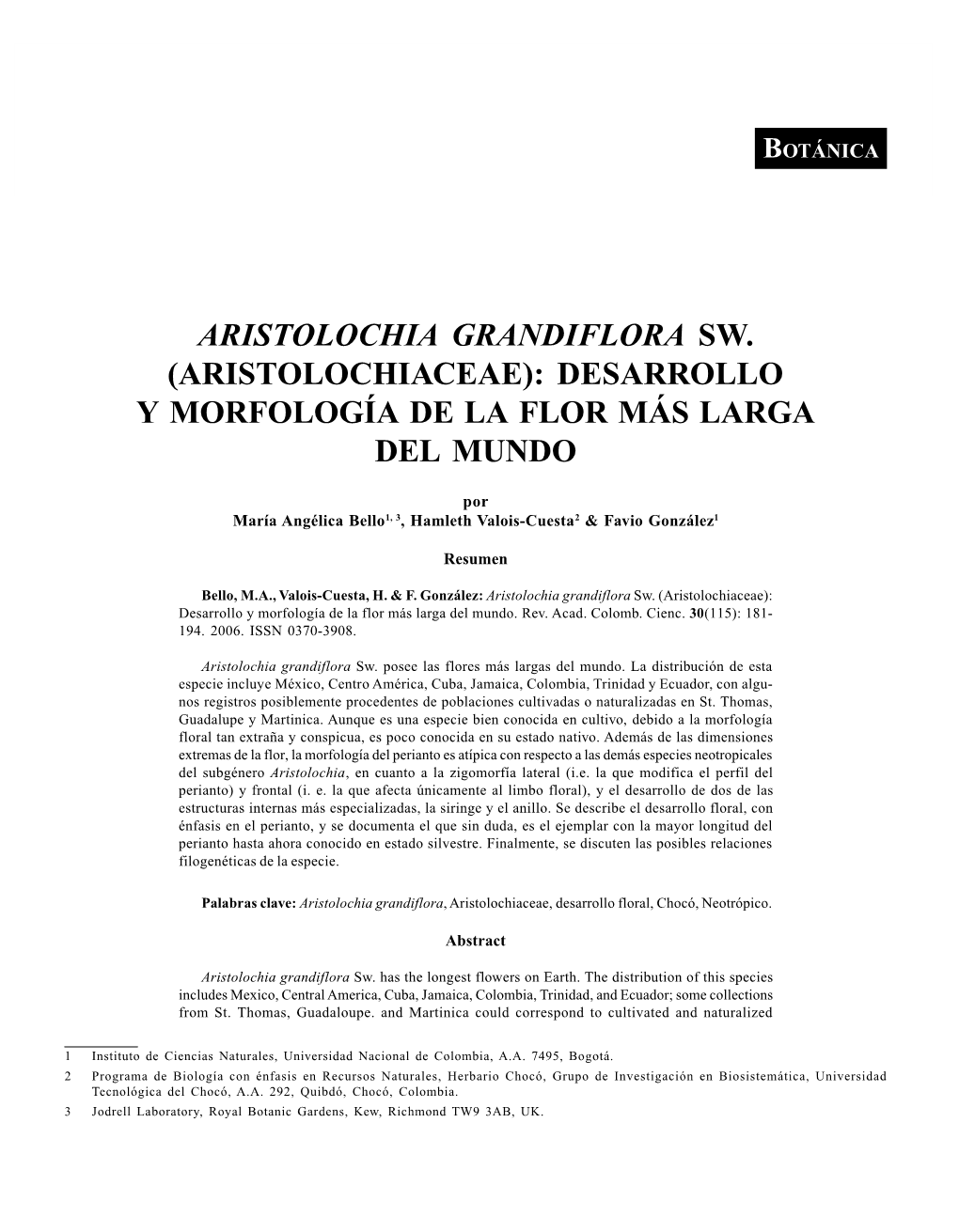 Aristolochia Grandiflora Sw