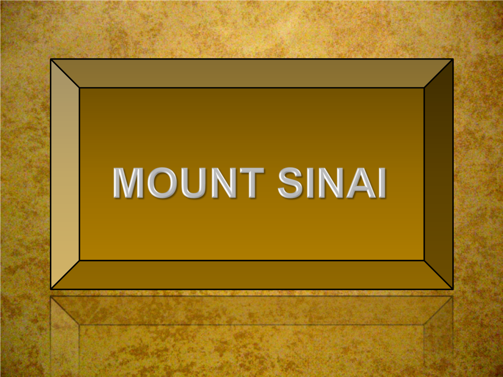 Lesson 09 Mount Sinai.Pdf