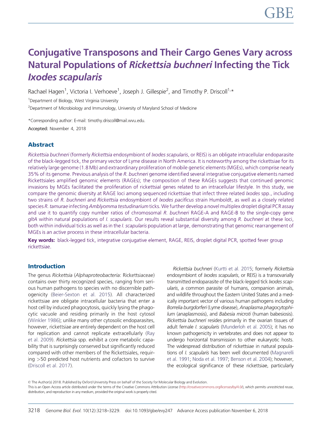 Conjugative Transposons and Their Cargo Genes Vary Across Natural Populations of Rickettsia Buchneri Infecting the Tick Ixodes Scapularis
