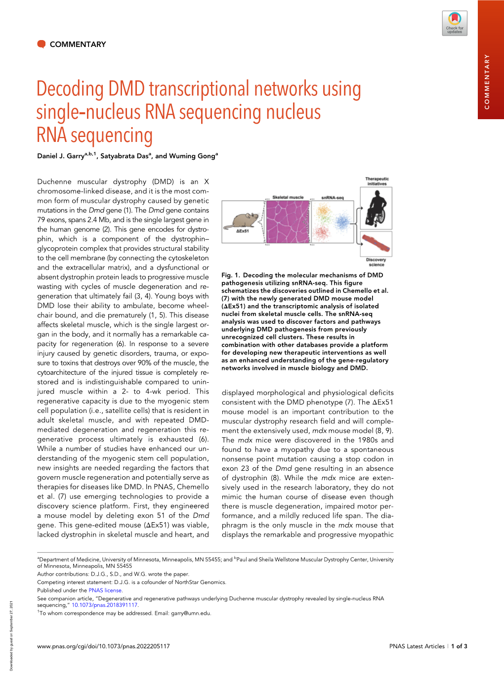 Decoding DMD Transcriptional Networks Using Single‐Nucleus RNA Sequencing Nucleus COMMENTARY RNA Sequencing Daniel J