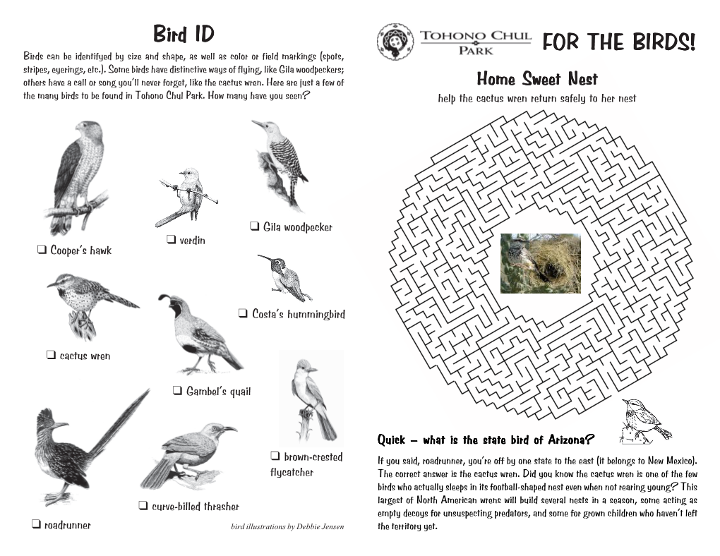 FOR the BIRDS! Birds Can Be Identifyed by Size and Shape, As Well As Color Or Field Markings (Spots, Stripes, Eyerings, Etc.)