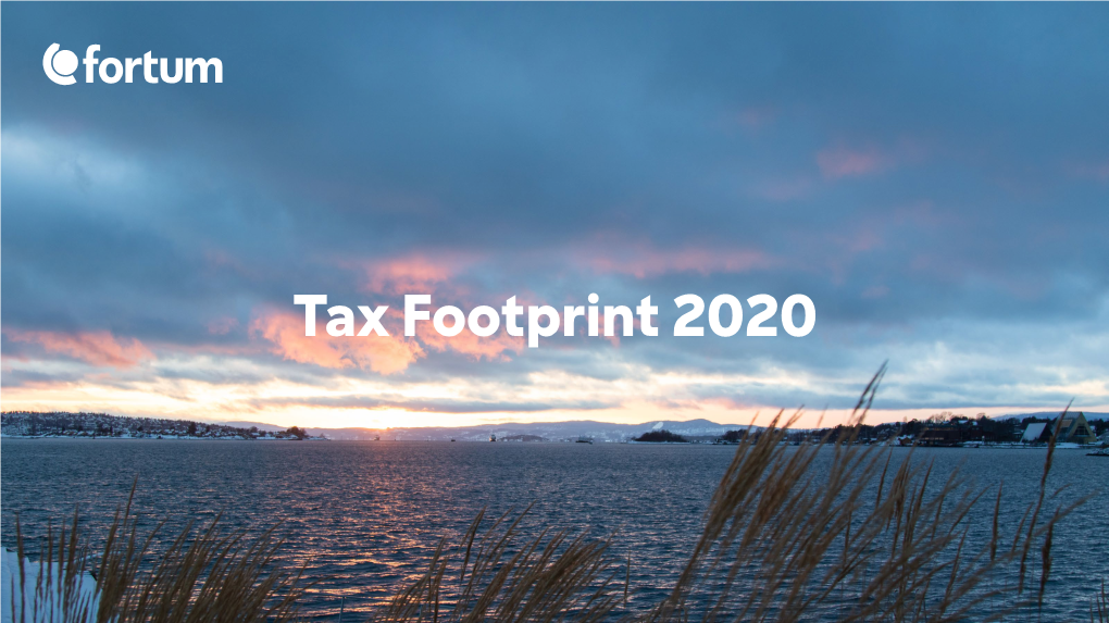 Tax Footprint 2020 1