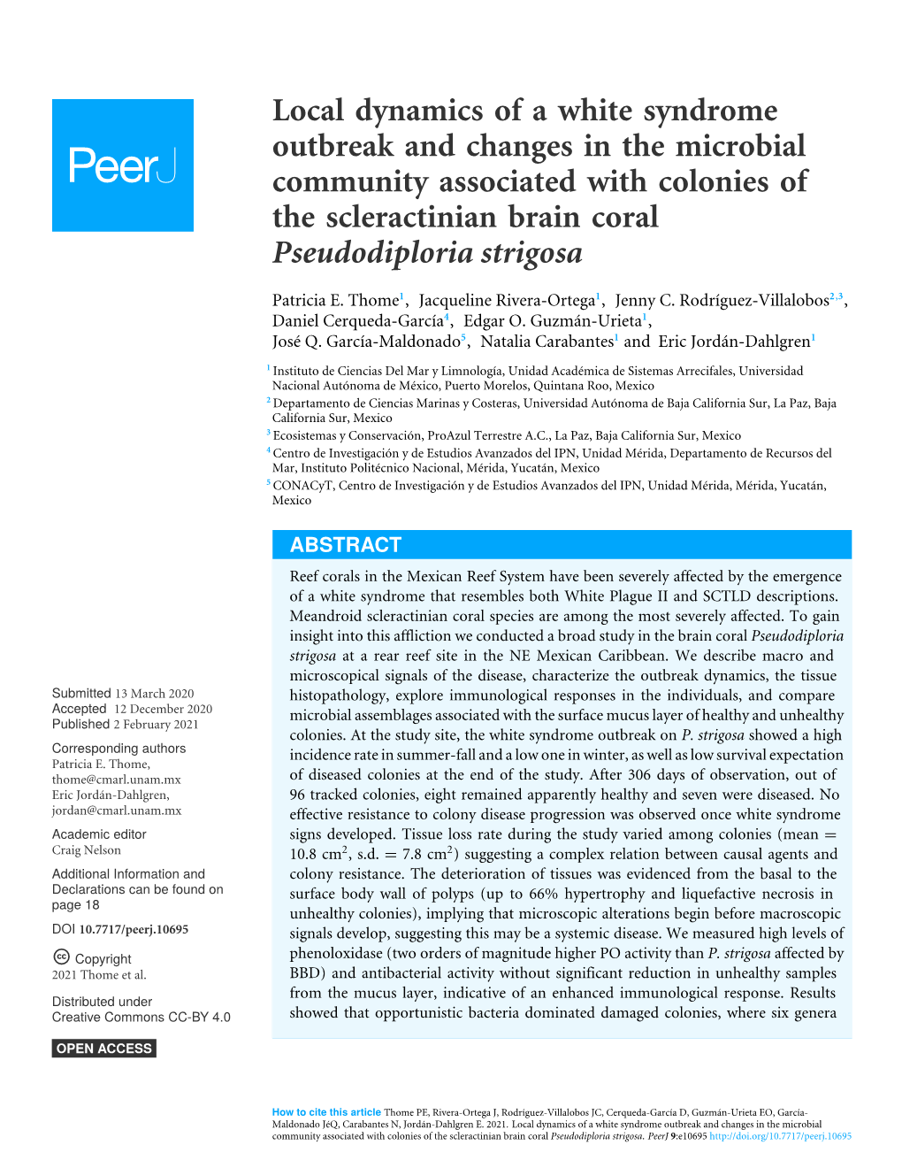 Local Dynamics of a White Syndrome Outbreak and Changes in the Microbial Community Associated with Colonies of the Scleractinian Brain Coral Pseudodiploria Strigosa