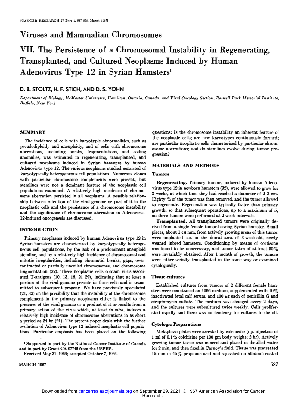 Viruses and Mammalian Chromosomes VII. the Persistence