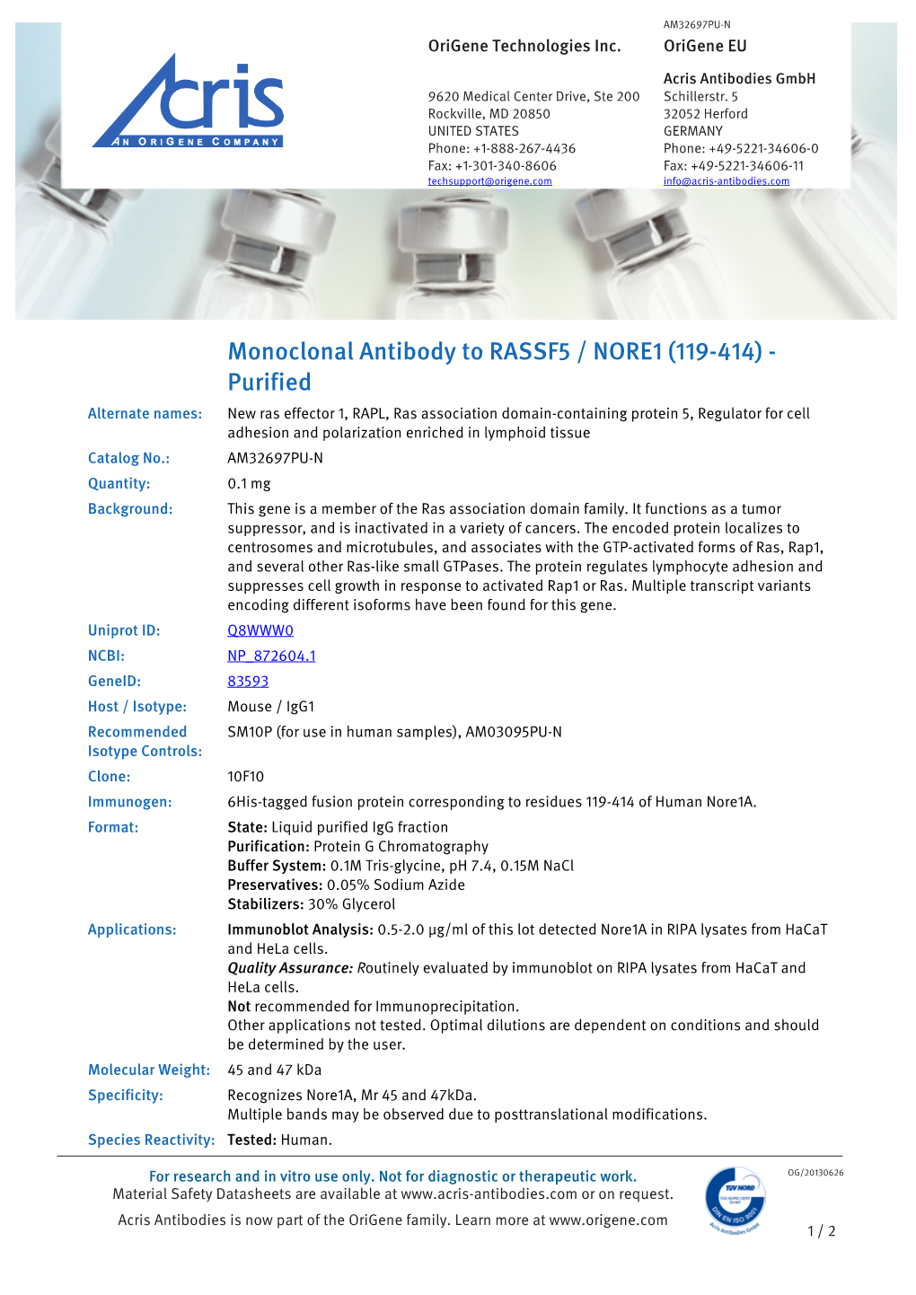 Monoclonal Antibody to RASSF5 / NORE1 (119