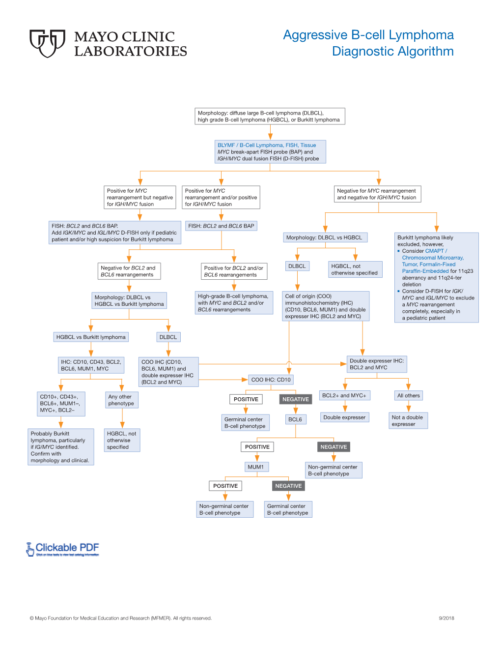 Aggressive B-Cell Lymphoma Diagnostic Algorithm