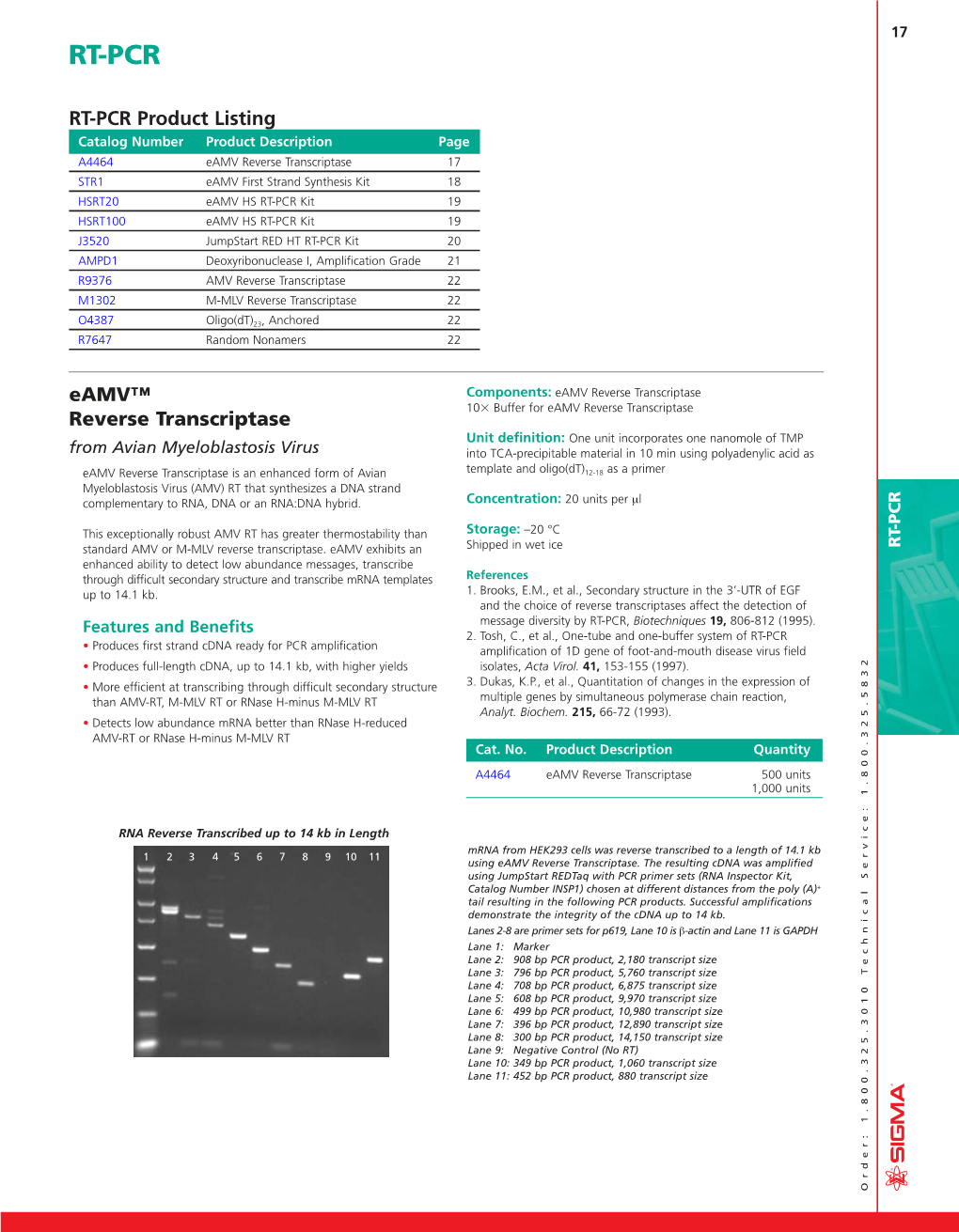 RT-PCR Product Listing R7647 O4387 M1302 R9376 Page AMPD1 J3520 HSRT100 HSRT20 STR1 Product Description A4464 Catalog Number • • • • Features Andbenefits up To14.1Kb