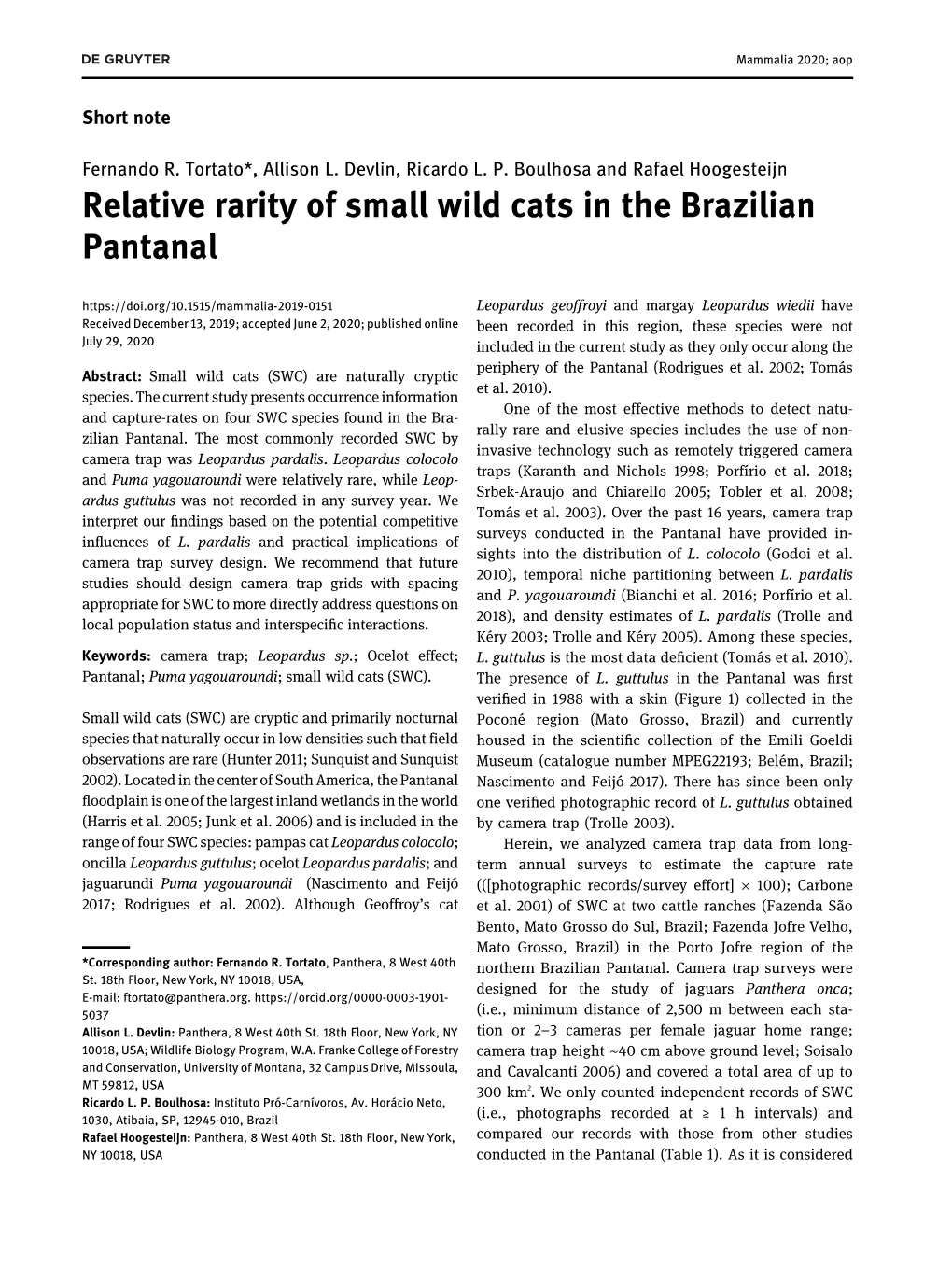 Relative Rarity of Small Wild Cats in the Brazilian Pantanal