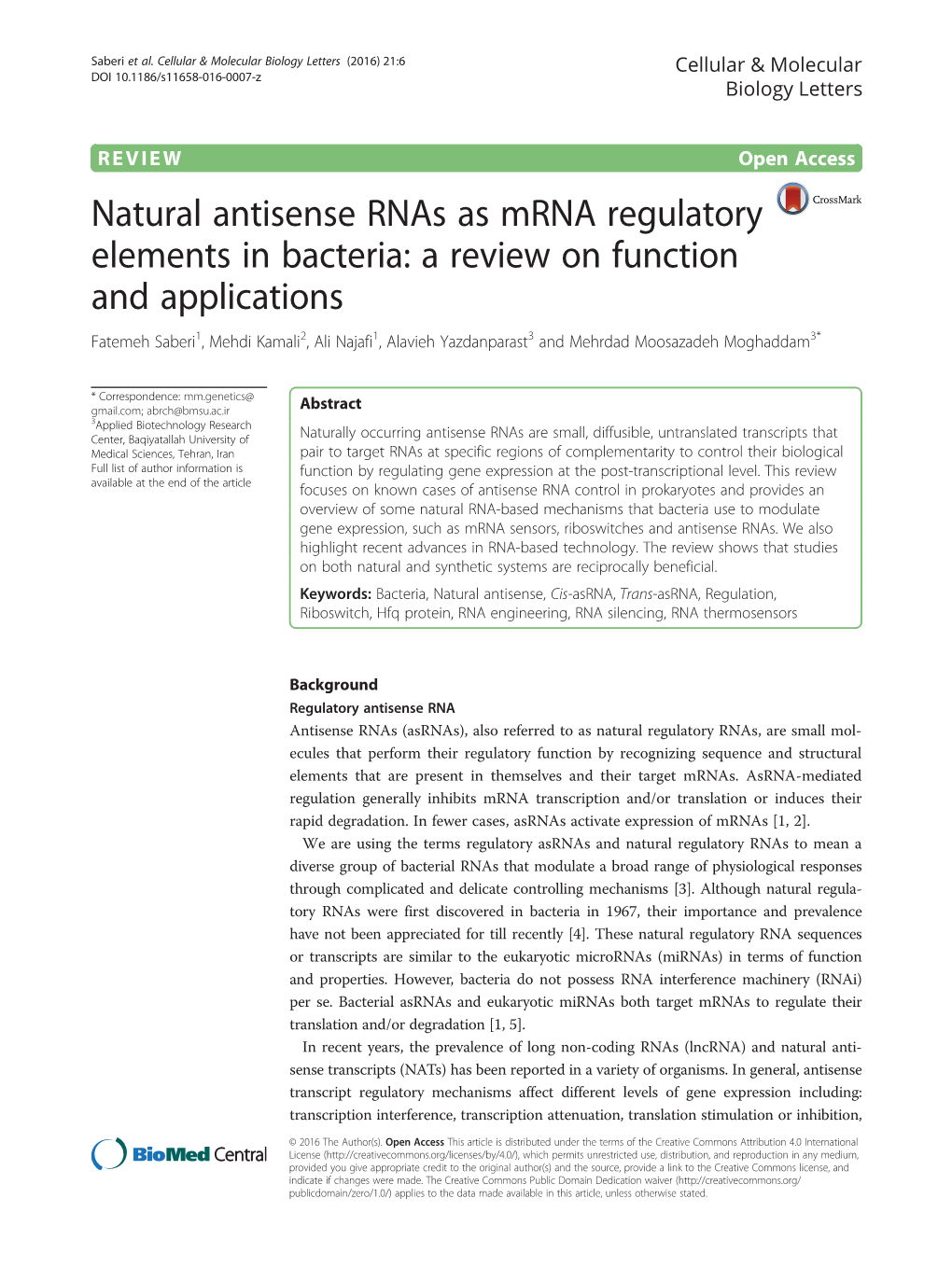 Natural Antisense Rnas As Mrna Regulatory Elements in Bacteria