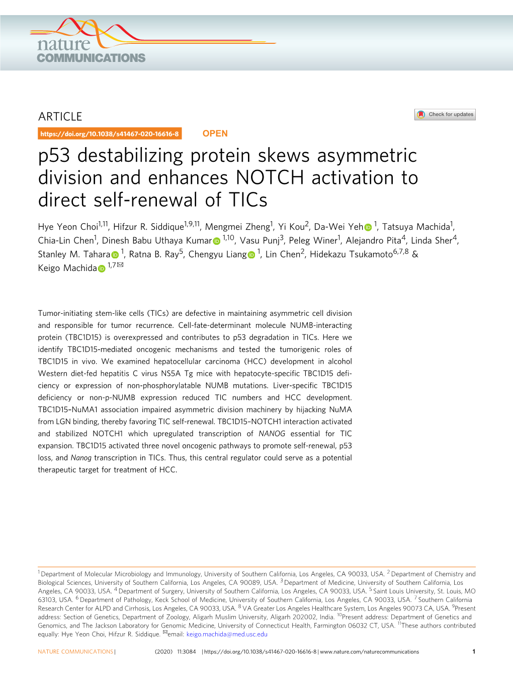 P53 Destabilizing Protein Skews Asymmetric Division and Enhances NOTCH Activation to Direct Self-Renewal of Tics