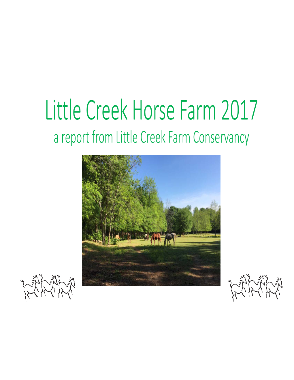 Little Creek Horse Farm 2017