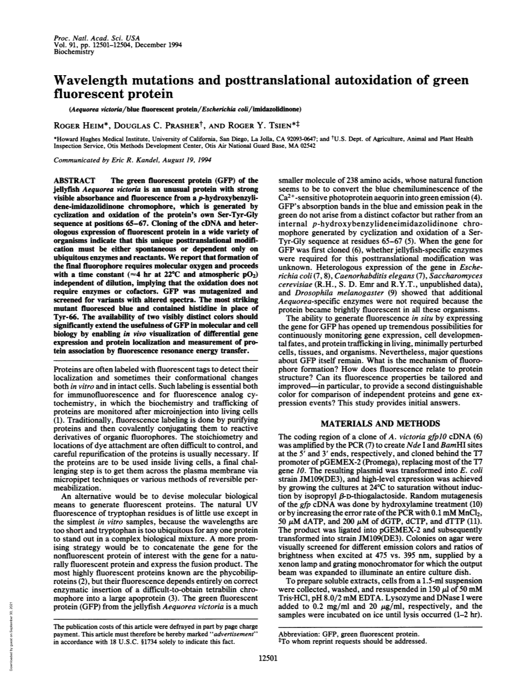 Wavelength Mutations and Posttranslational Autoxidation of Green Fluorescent Protein