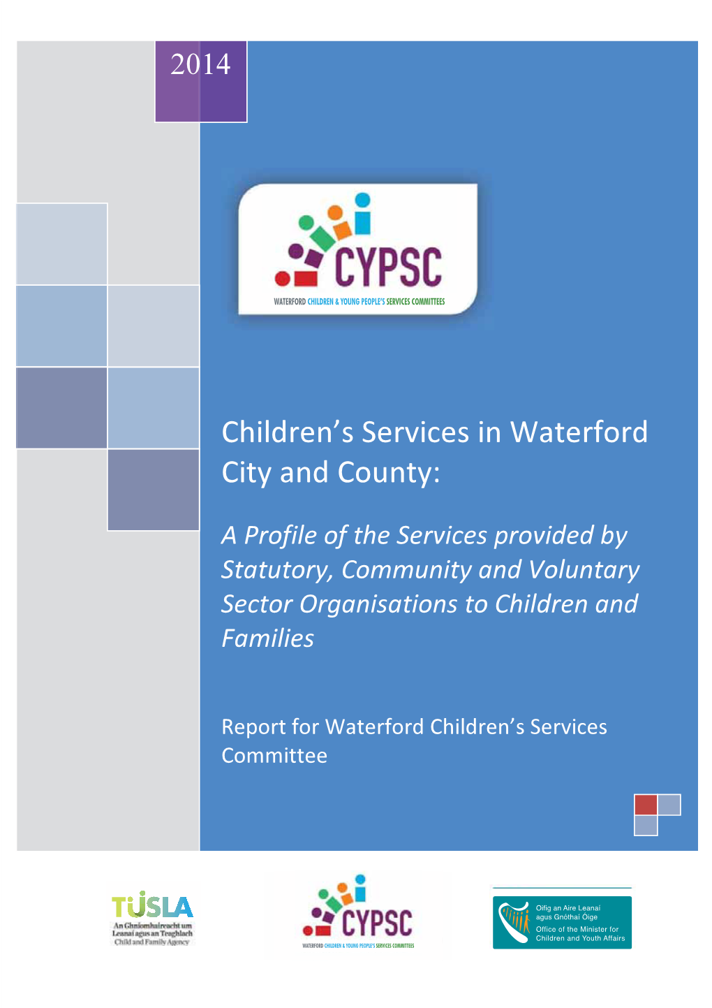 Cypsc-Profile-Of-Services-In-Waterford