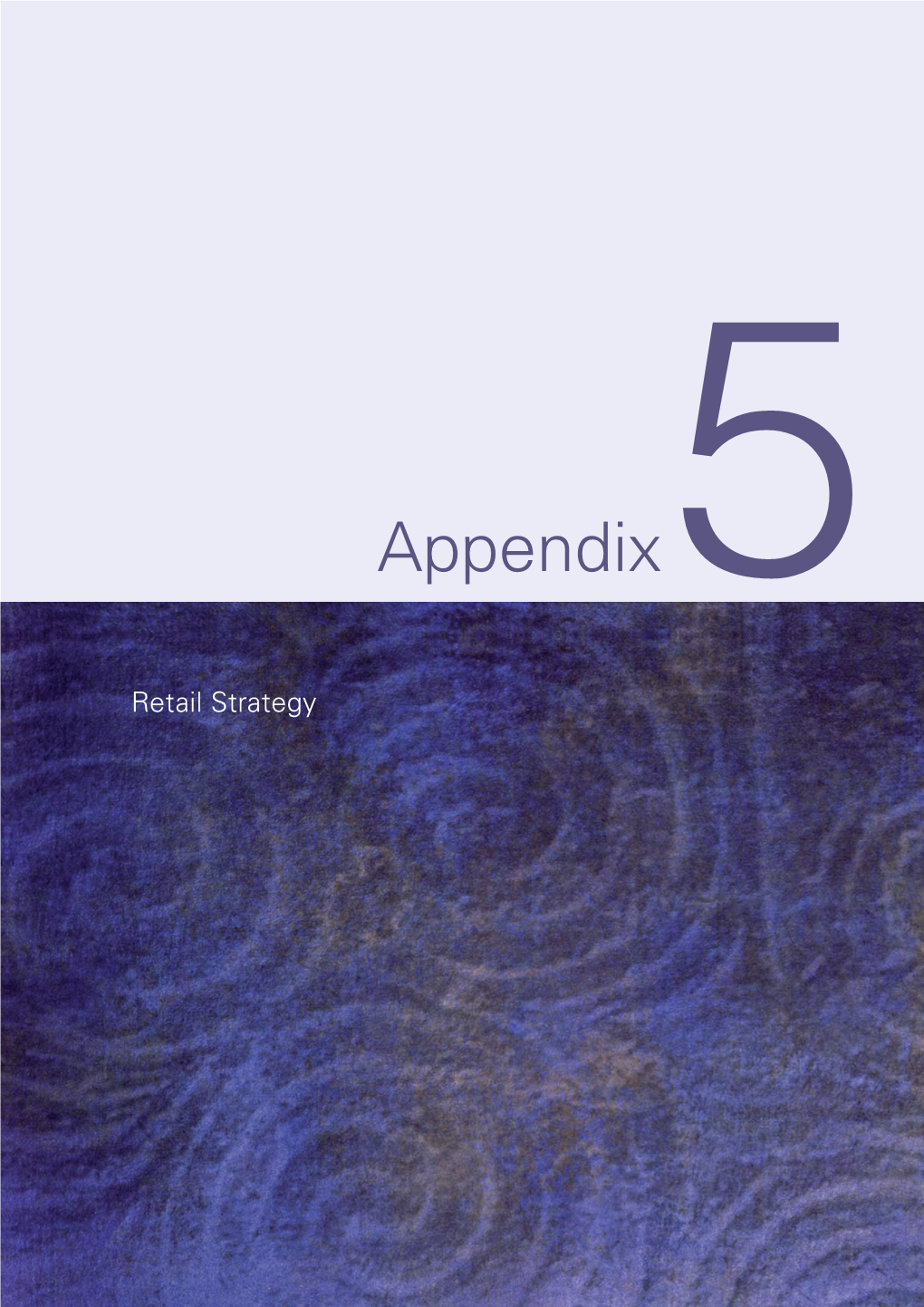 Appendix 05 Retail Strategy