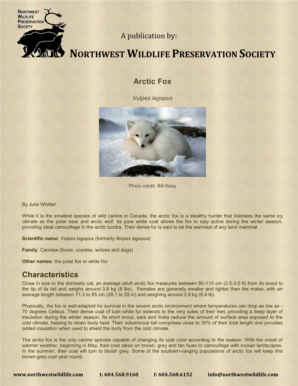 Northwestwildlife.Com Species Reports