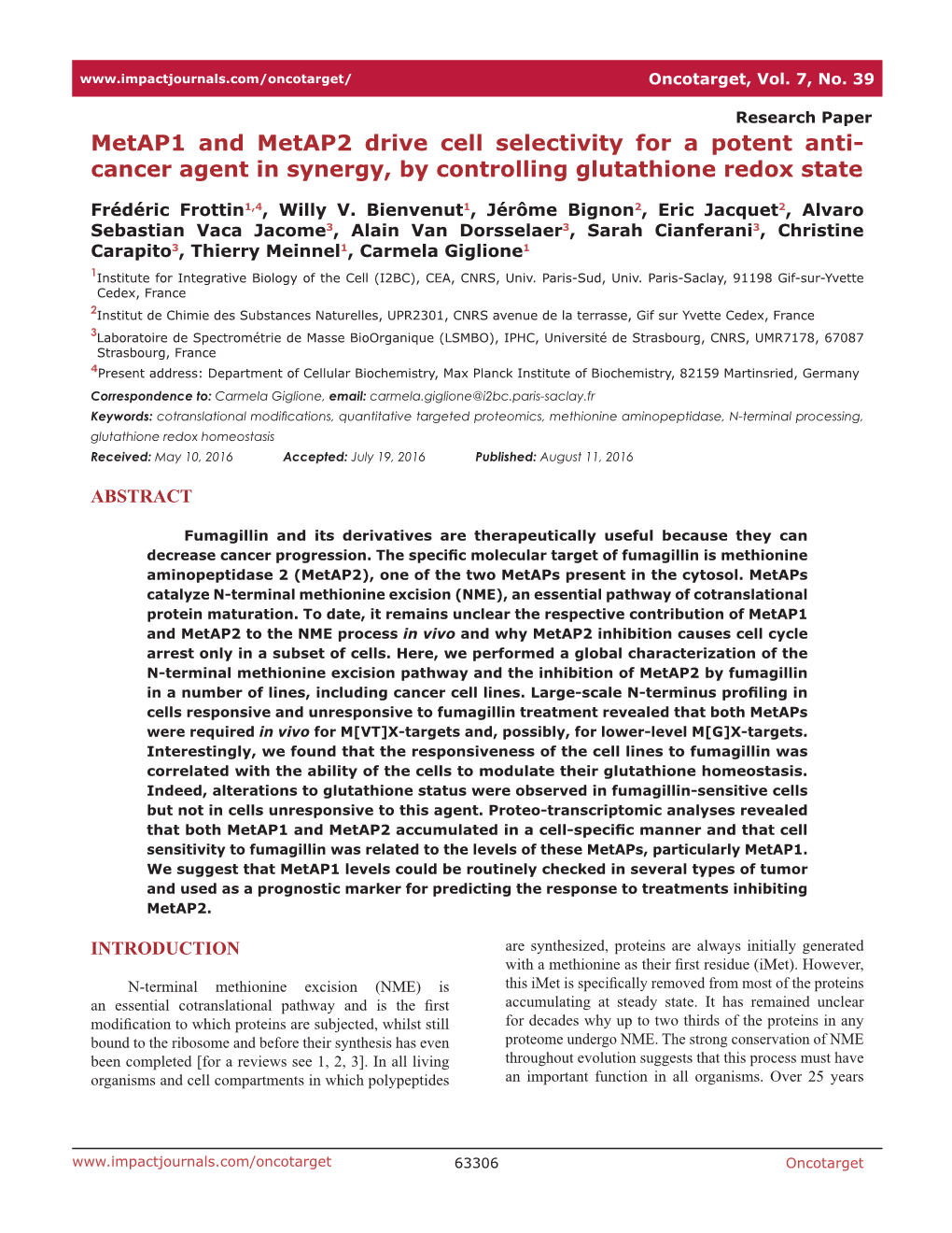 Metap1 and Metap2 Drive Cell Selectivity for a Potent Anti- Cancer Agent in Synergy, by Controlling Glutathione Redox State