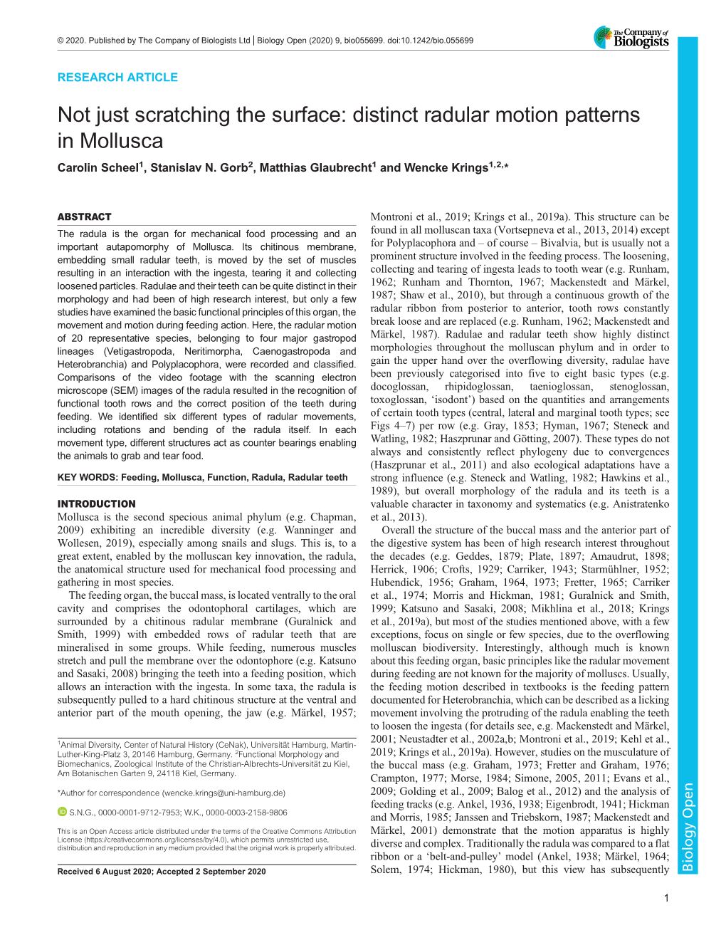 Not Just Scratching the Surface: Distinct Radular Motion Patterns in Mollusca Carolin Scheel1, Stanislav N