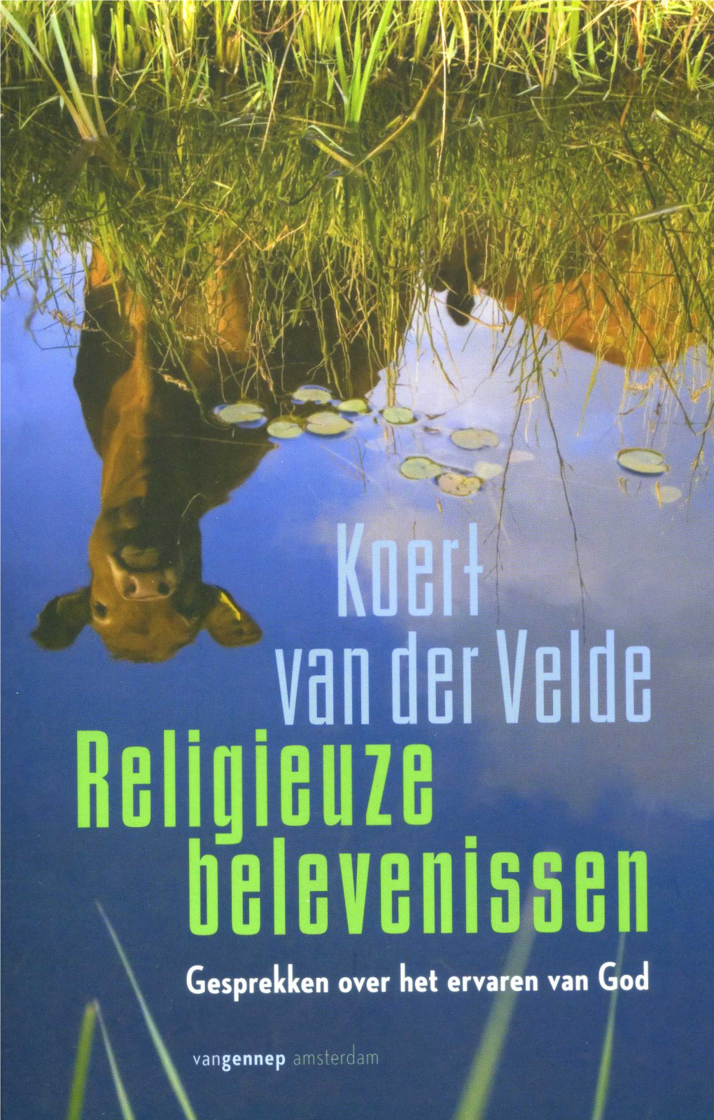 Religieuze Belevenissen Boek.Pdf