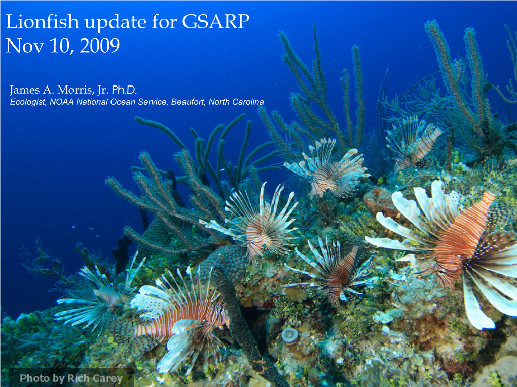 Lionfish Update for GSARP Nov 10, 2009